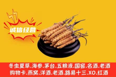 运城市绛县回收冬虫夏草